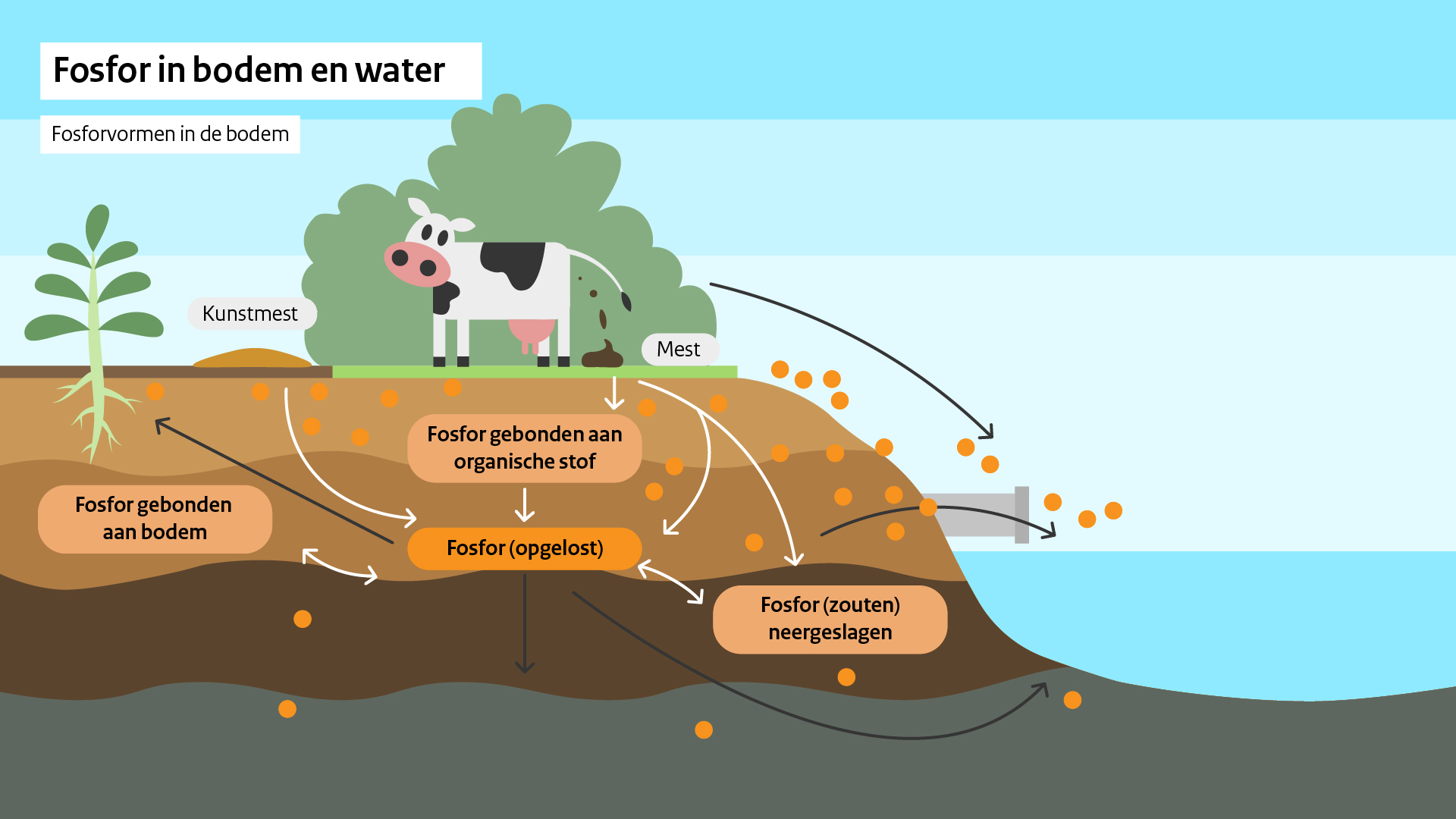 Fosfor in bodem en water