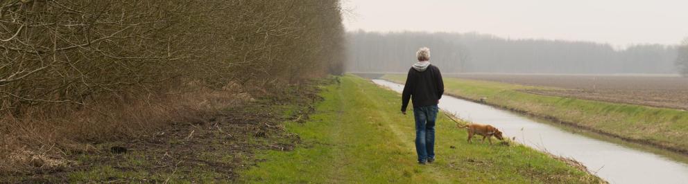 Een man en een hond lopen door een veld, langs een beek