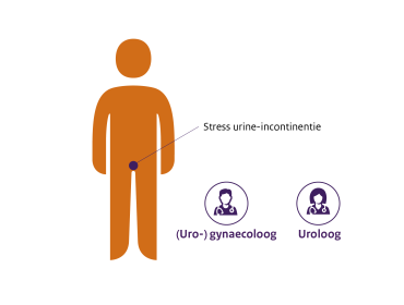Afbeelding van een figuur met een stip in de onderbuik (blaas). De (uro-)gynaecoloog of de uroloog zijn specialisten bij stress urine-incontinentie.