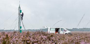 Meetopstelling stikstof