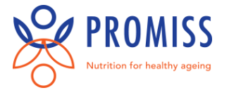 Promiss logo 2