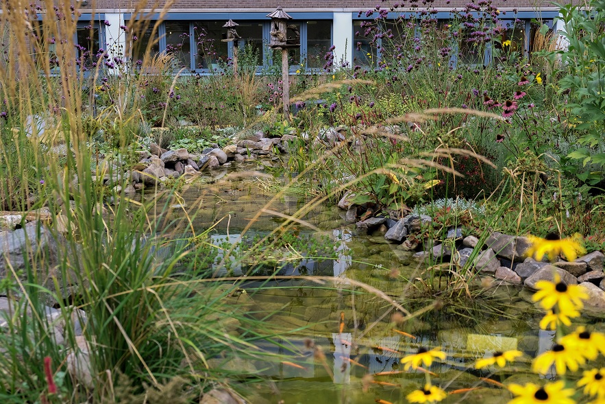 In de BuitensteBinnentuin van VieCuri Medisch Centrum is ook een waterpartij.