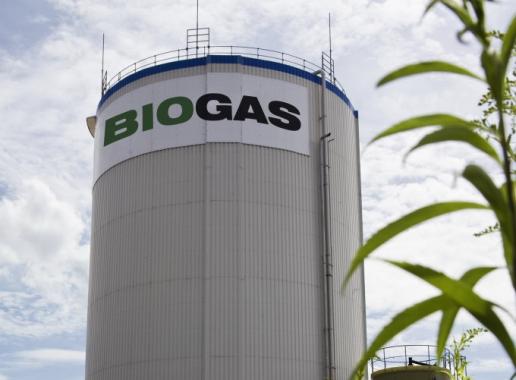 Opslagtank bij biogasinstallatie