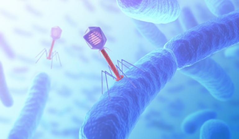 A New Lead For Disarming Antibiotic-Resistant Bacteria - Texas A&M Today