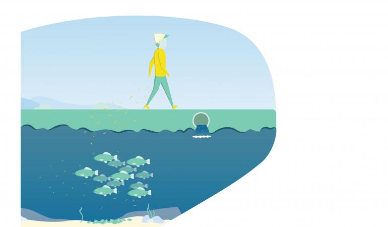 Animatie waarin je persoon ziet lopen op gras, met daaronder de bodem met daaronder waterlaag met zwemmende vissen